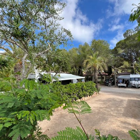 STAANPLAATS - STANDAARD