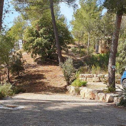 PIAZZOLA - Piazzola - arrivo del veicolo