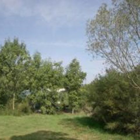 Stellplatz - Forfait Nature (1 Zelt, Wohnwagen oder Wohnmobil / 1 Auto)