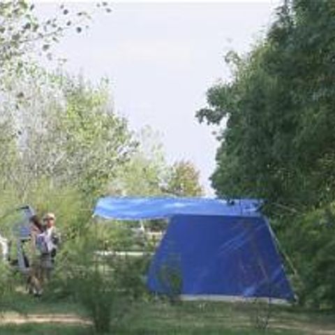 STAANPLAATS - Natuur arrangement (1 tent, caravan of camper / 1 auto)