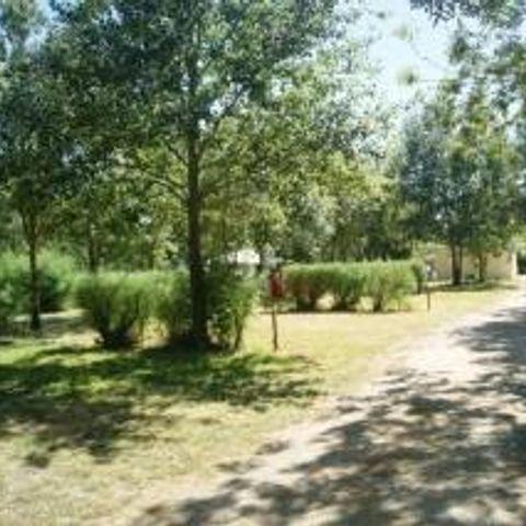 Stellplatz - Forfait Nature (1 Zelt, Wohnwagen oder Wohnmobil / 1 Auto)