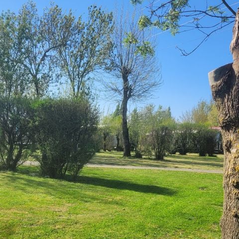 STAANPLAATS - Comfortpakket (1 tent, caravan of camper / 1 auto / 10A elektriciteit)