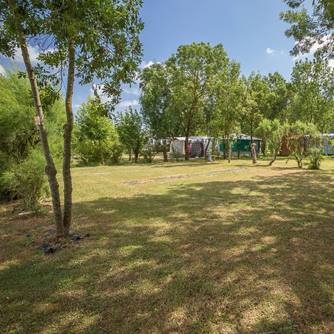 Kampeerplaats - Wandel- of fietsarrangement met tent