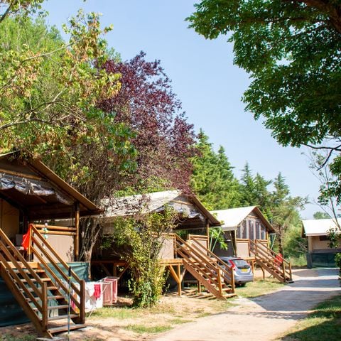 TIENDA DE LONA Y MADERA 5 personas - Lodge Confort Kenia