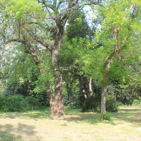 Stellplatz - Forfait Confort (1 Zelt, Wohnwagen oder Wohnmobil / 1 Auto / Strom 10A )+ Wasseranschluss