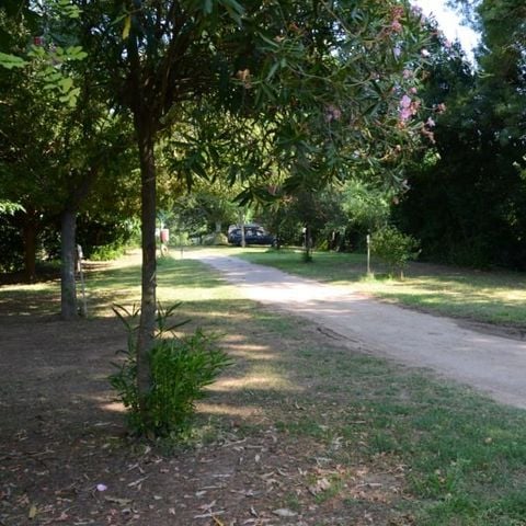 PARCELA - Paquete confort (1 tienda, caravana o autocaravana / 1 coche / electricidad 10A) + conexión de agua