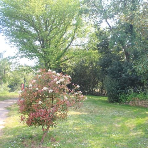 Pitch - Comfort package (1 tent, caravan or camper / 1 car / 10A electricity) + water connection