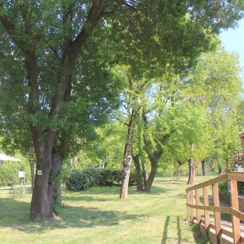 Pitch - Comfort package (1 tent, caravan or camper / 1 car / 10A electricity) + water connection