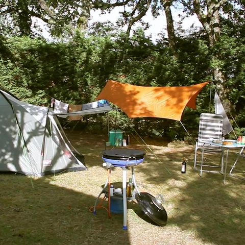 Pitch - Island camping pitch (elec. optional)