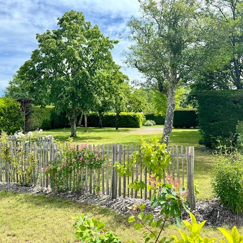 Pitch - PREMIUM camping pitch in island (with elec.)