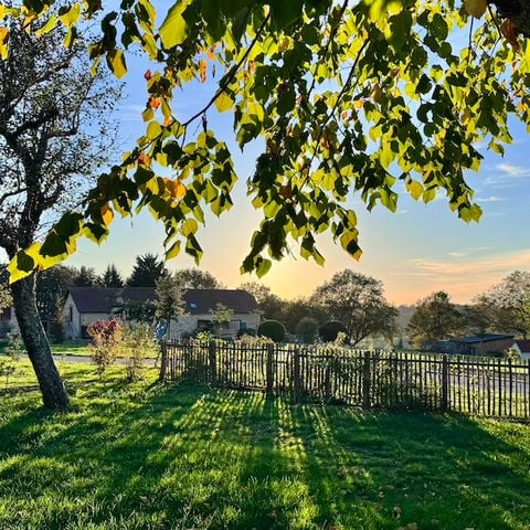 EMPLACEMENT - Emplacement de camping PREMIUM en prairie (avec elec.)