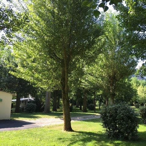 EMPLACEMENT - Voiture + tente/caravane ou camping-car