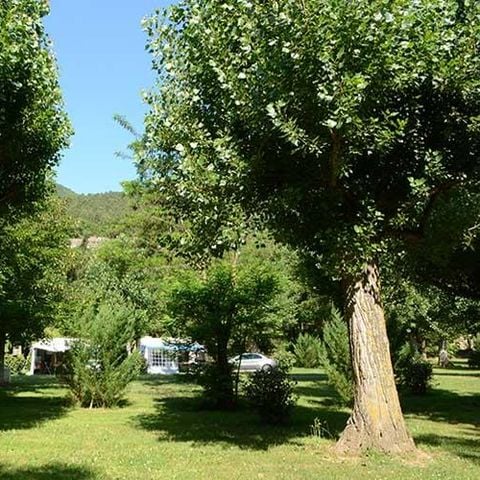 Pitch - Car + tent/caravan or motor home