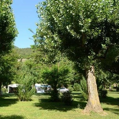 Camping Le Pont Camping Le Pont - Camping Aveyron - Image N°14