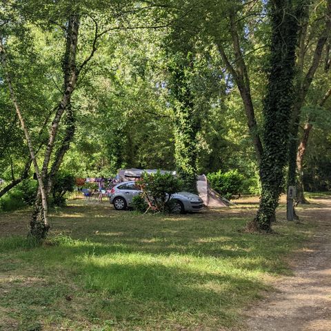 STAANPLAATS - RIVIER FRONT / CONVENIENCE SITE / 2 pers + TENT of CARAVAN + ELECTRICITEIT + voertuig