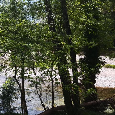 Pitch - RIVER FRONT / CONVENIENCE SITE / 2 pers + TENT or CARAVAN + ELECTRICITY + vehicle