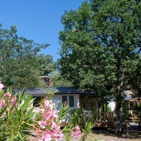 Chalet 5 personen - COMFORT CHERRY