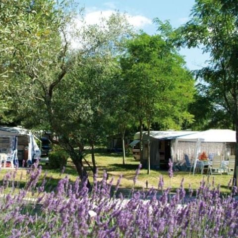 EMPLACEMENT - Emplacement CONFORT, 1 véhicule, électricité 10A