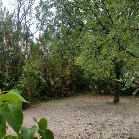 PIAZZOLA - Pacchetto Comfort - piazzola per tenda, roulotte o camper (1 auto / elettricità)