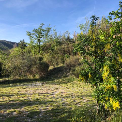 PLOT - Privilege package - pitch for tent, caravan or motor home (1 car / electricity) + water point