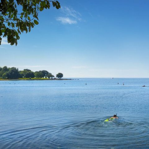 Camping Polari Camping Polari - Camping Istrie - Image N°16