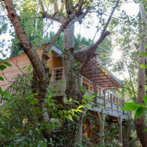 CHALET 6 personnes - Chalet 6p 3ch ****