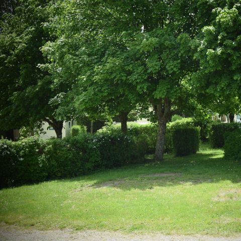 PLOT - Comfort Plus + Vehicle + 6A