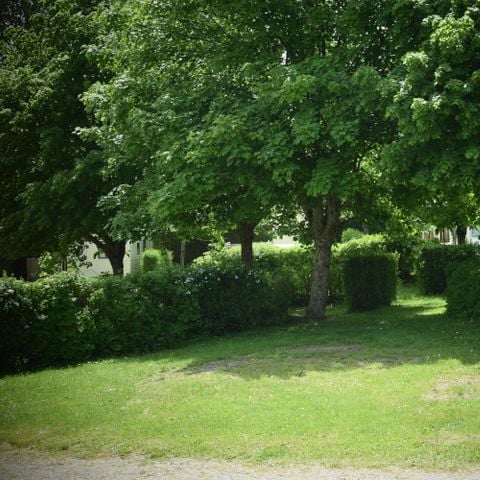 PLOT - Comfort Plus + Vehicle + 6A