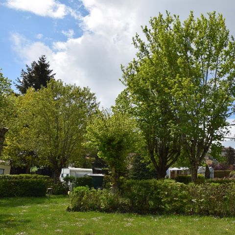 Pitch - Comfort Plus + Vehicle + 6A