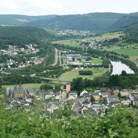 Camping Landal Warsberg Camping Landal Warsberg - Camping Rhénanie-Palatinat - Image N°14