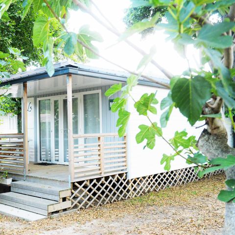 Bungalow 4 persons - Bungalow Premium 2 bedrooms 4 pers