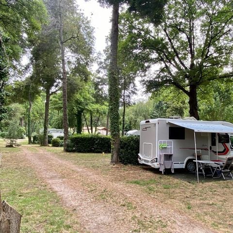 STAANPLAATS - Comfort standplaats 1/6 pers