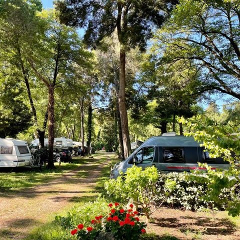 EMPLACEMENT - Emplacement Confort 1/6 pers