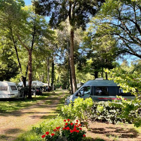 Stellplatz - Stellplatz Confort 1/6 pers