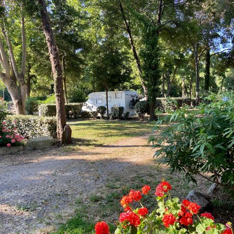 Stellplatz - Stellplatz Confort 1/6 pers