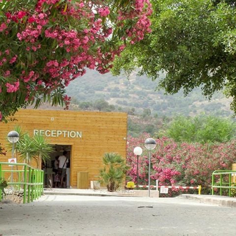 Camping Le Sagone Camping Le Sagone - Camping Corse du sud - Image N°15