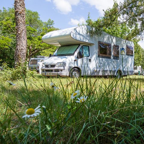 Stellplatz - Stellplatz Nature 6 Pers. max