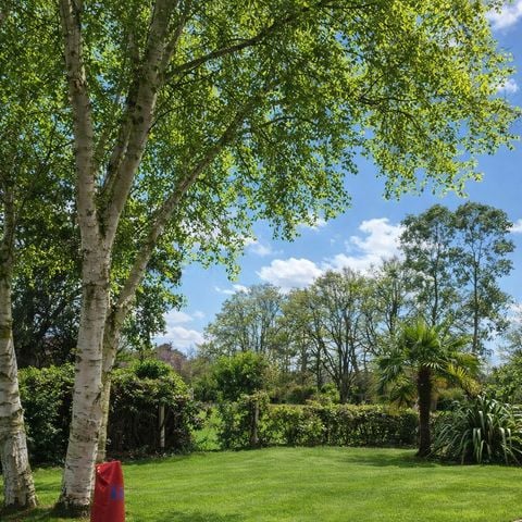 STAANPLAATS - Locatie VAN (5 m)