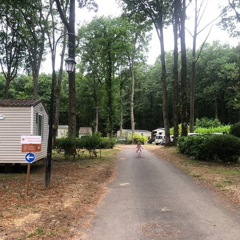 Camping Le Parc des Roches Camping Le Parc des Roches - Camping Essonne - Image N°30
