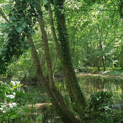 Camping Le Parc des Roches Camping Le Parc des Roches - Camping Essonne - Image N°27