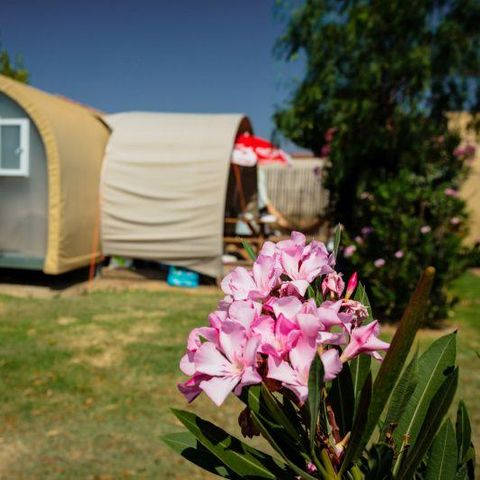 Canvas and wooden tent 4 persons - C- Coco Lodge - 2 rooms 16m² - 2 bedrooms
