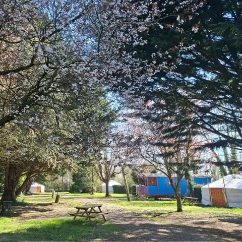 UNUSUAL ACCOMMODATION 2 people - caravan 2 pers