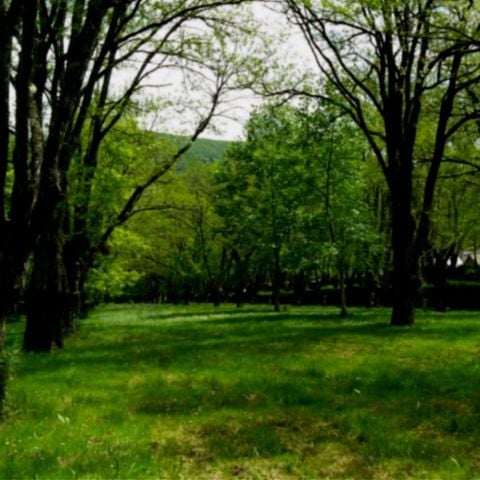 PLOT - Bare pitch (without electricity)