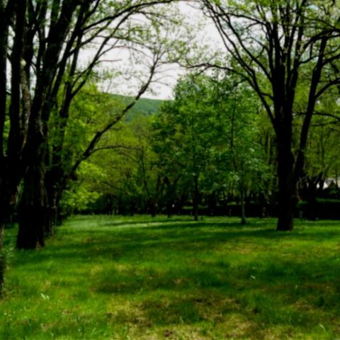 Stellplatz - Nackter Stellplatz (ohne Strom)