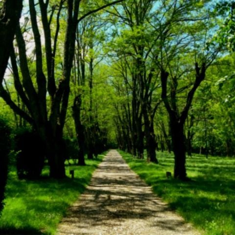 EMPLACEMENT - Emplacement avec électricité