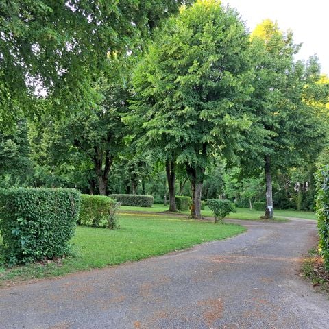 Kampeerplaats - voertuig + tent of voertuig + caravan of camper