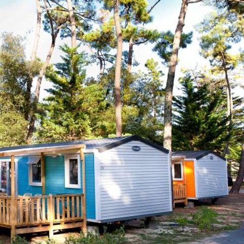 BUNGALOW 6 personnes - Famille Clim Éco 6 personnes