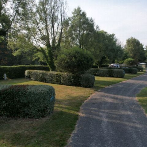 Kampeerplaats - Kale standplaats Grand Confort