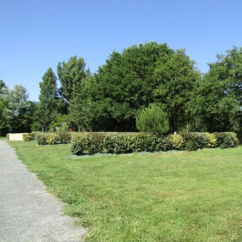 Kampeerplaats - Kale standplaats Grand Confort