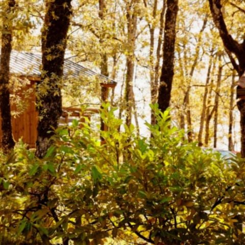 ALOJAMIENTO INUSUAL 2 personas - CABINAS DÚO